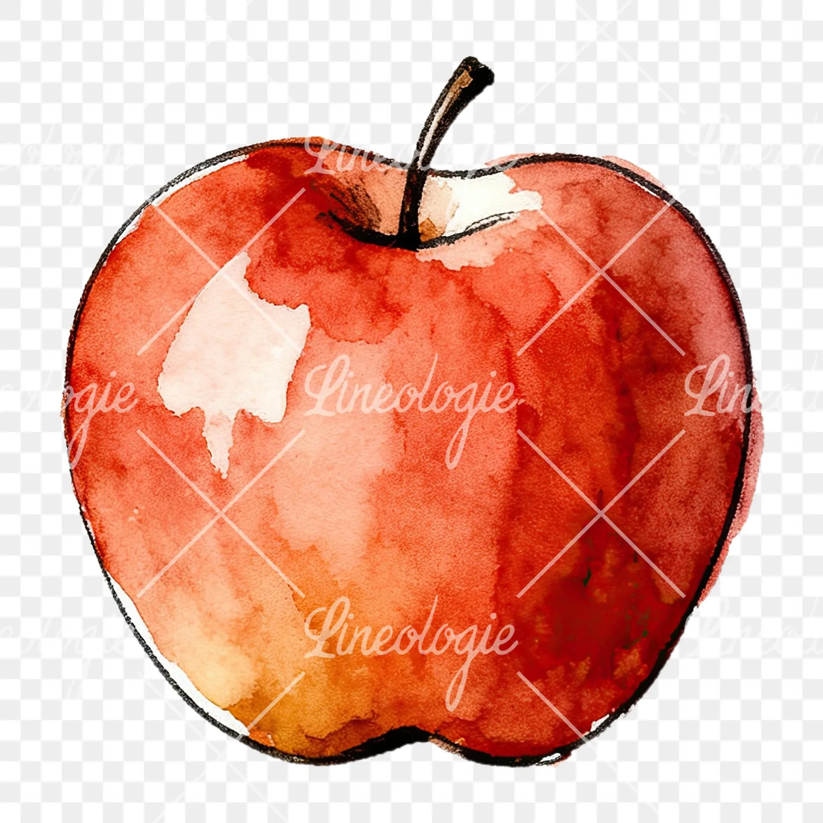 Watercolor red and green apple slices clipart 1 of 12 on a transparent background (PNG)