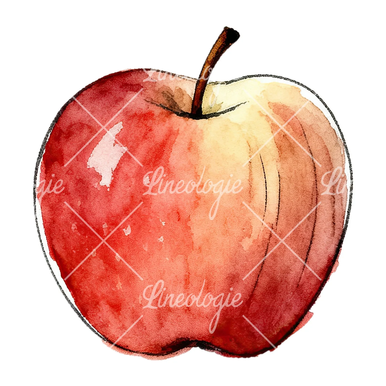 Watercolor red and green apple slices clipart 3 of 12 on a white background (JPG)