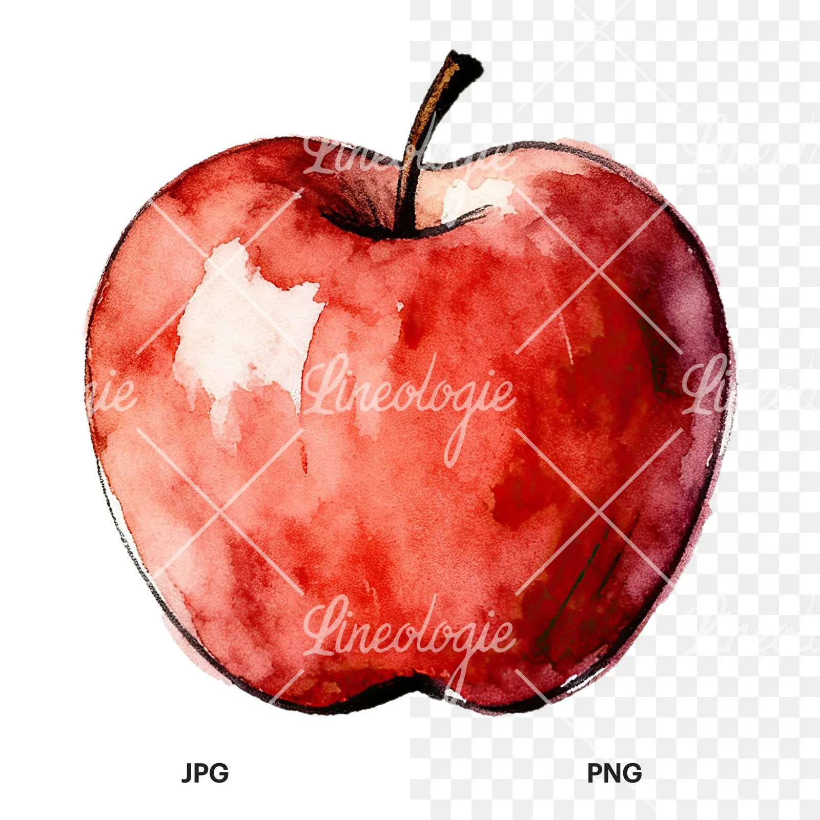 Watercolor red and green apple slices clipart 7 of 12, as a JPG on white and a transparent PNG
