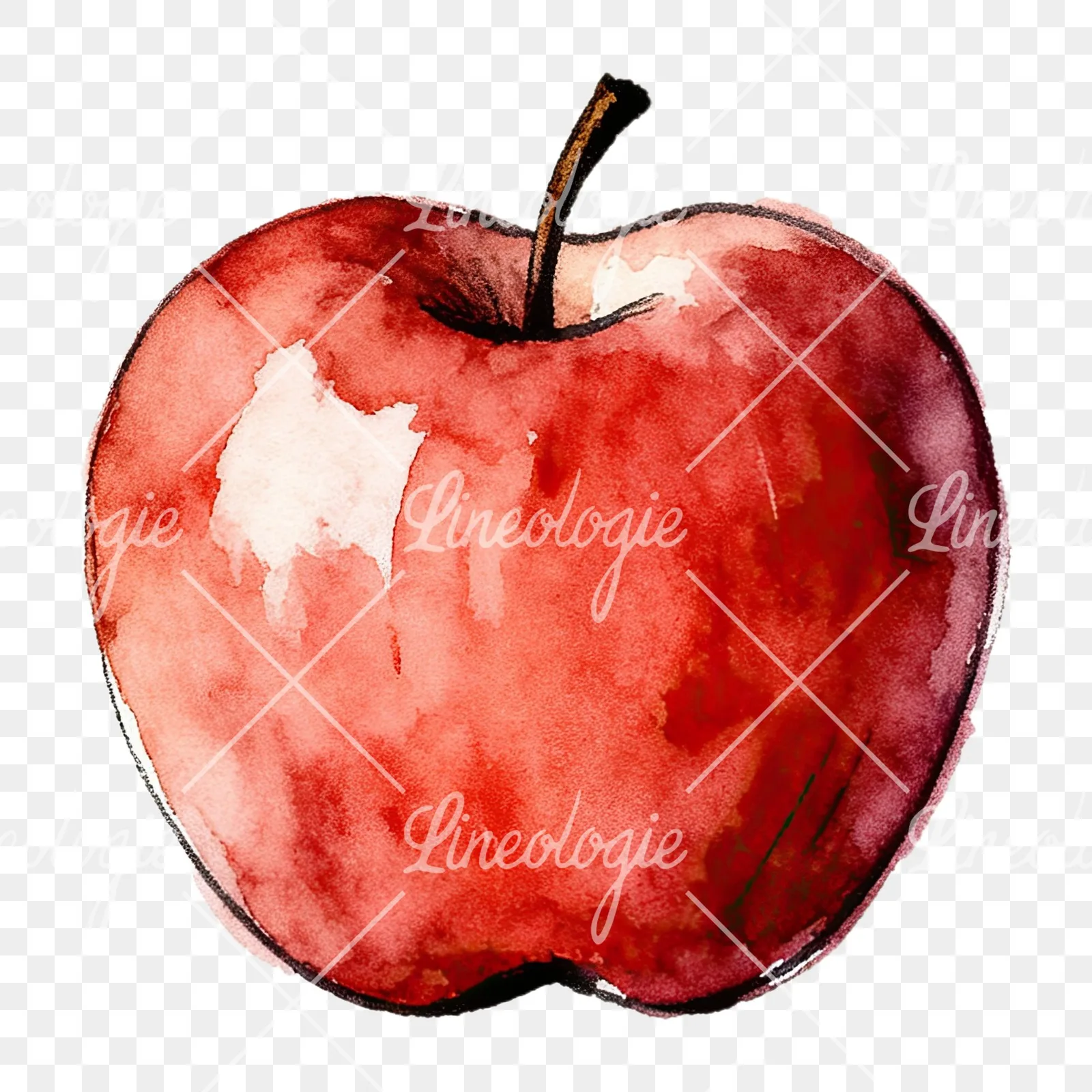 Watercolor red and green apple slices clipart 7 of 12 on a transparent background (PNG)