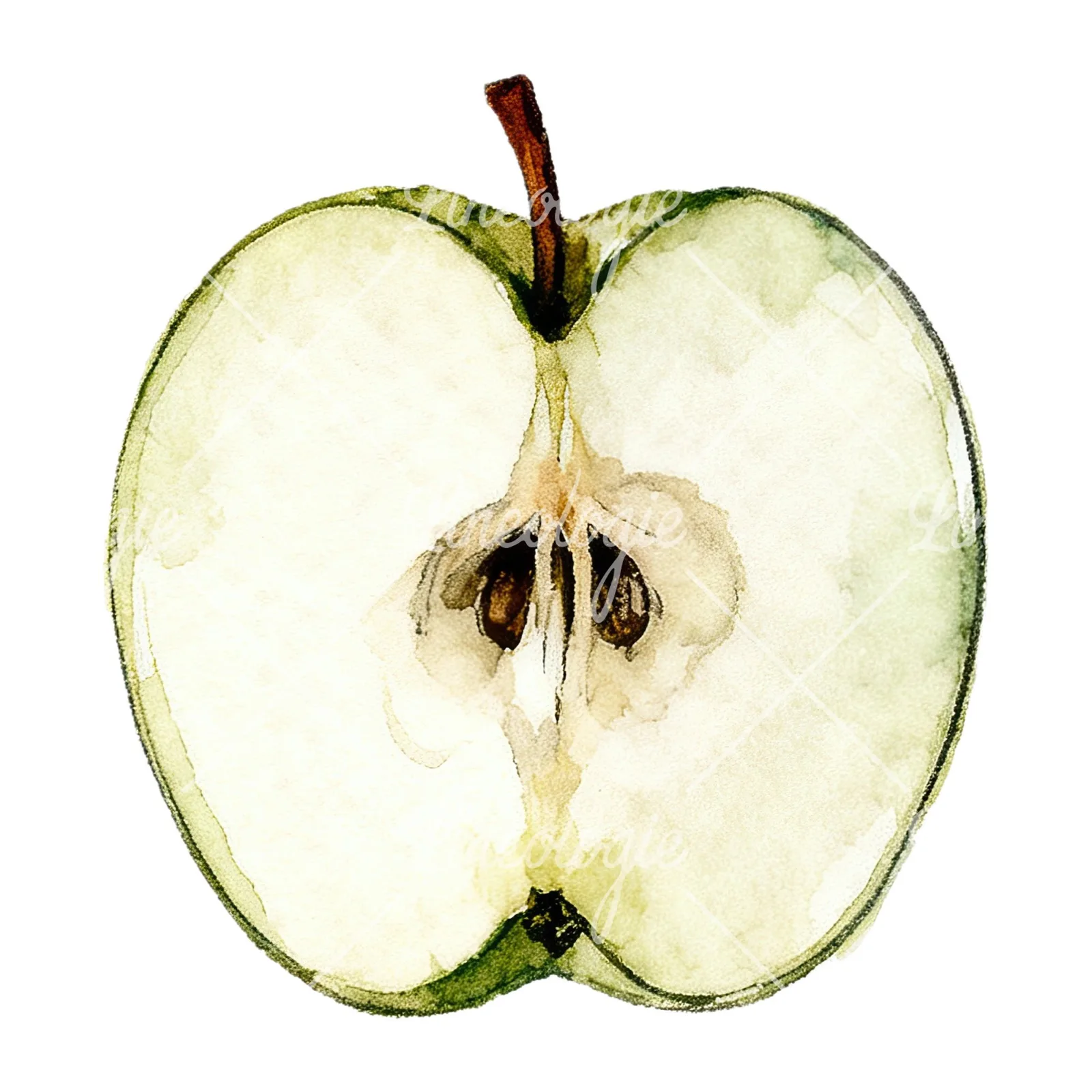 Watercolor red and green apple slices clipart 9 of 12 on a white background (JPG)