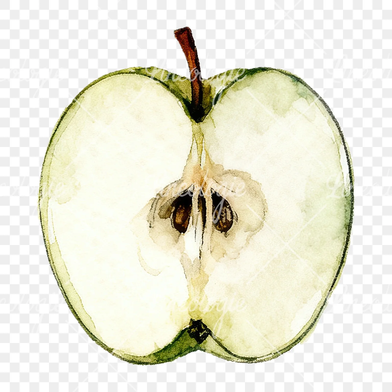 Watercolor red and green apple slices clipart 9 of 12 on a transparent background (PNG)