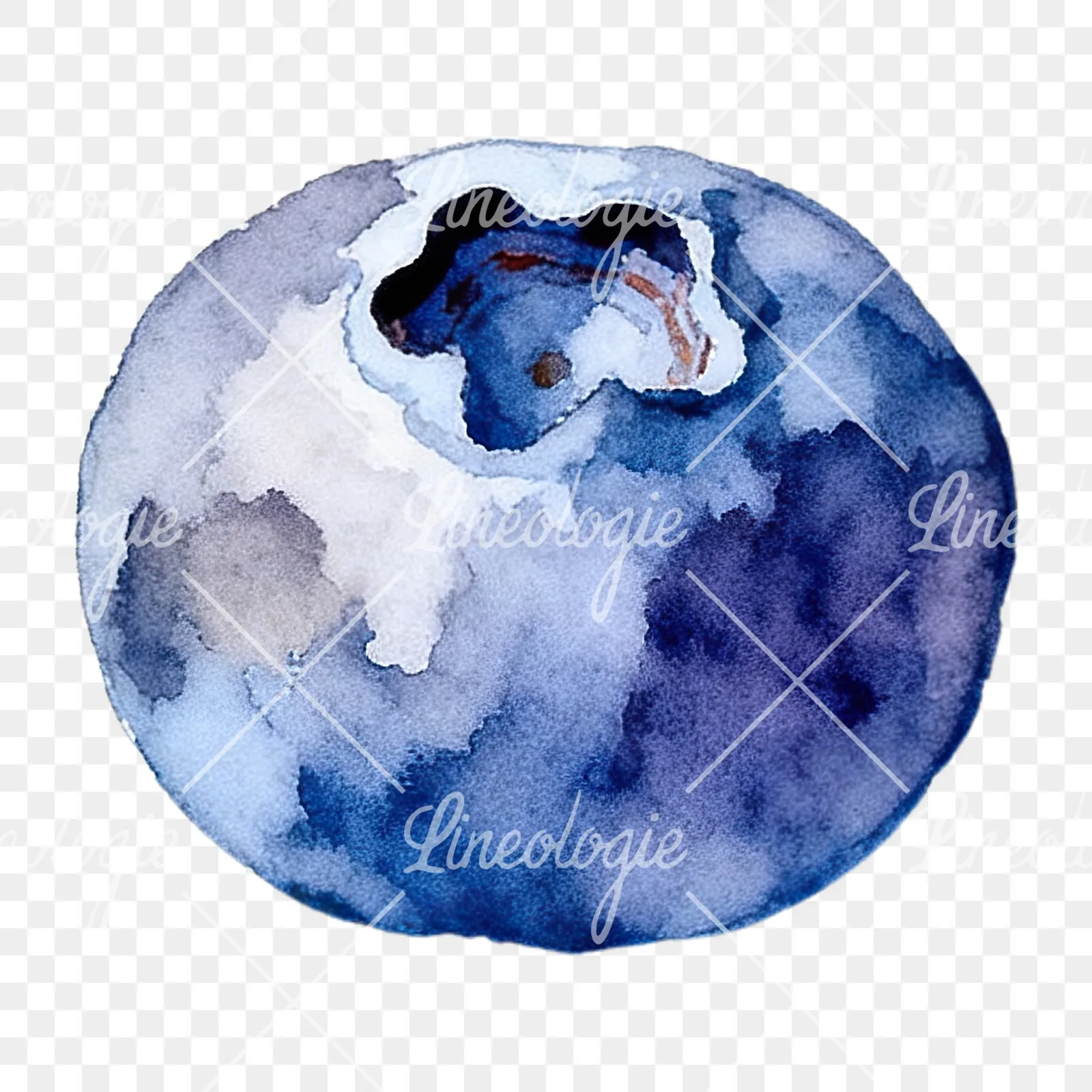 Watercolor blueberry with textures clipart 1 of 12 on a transparent background (PNG)