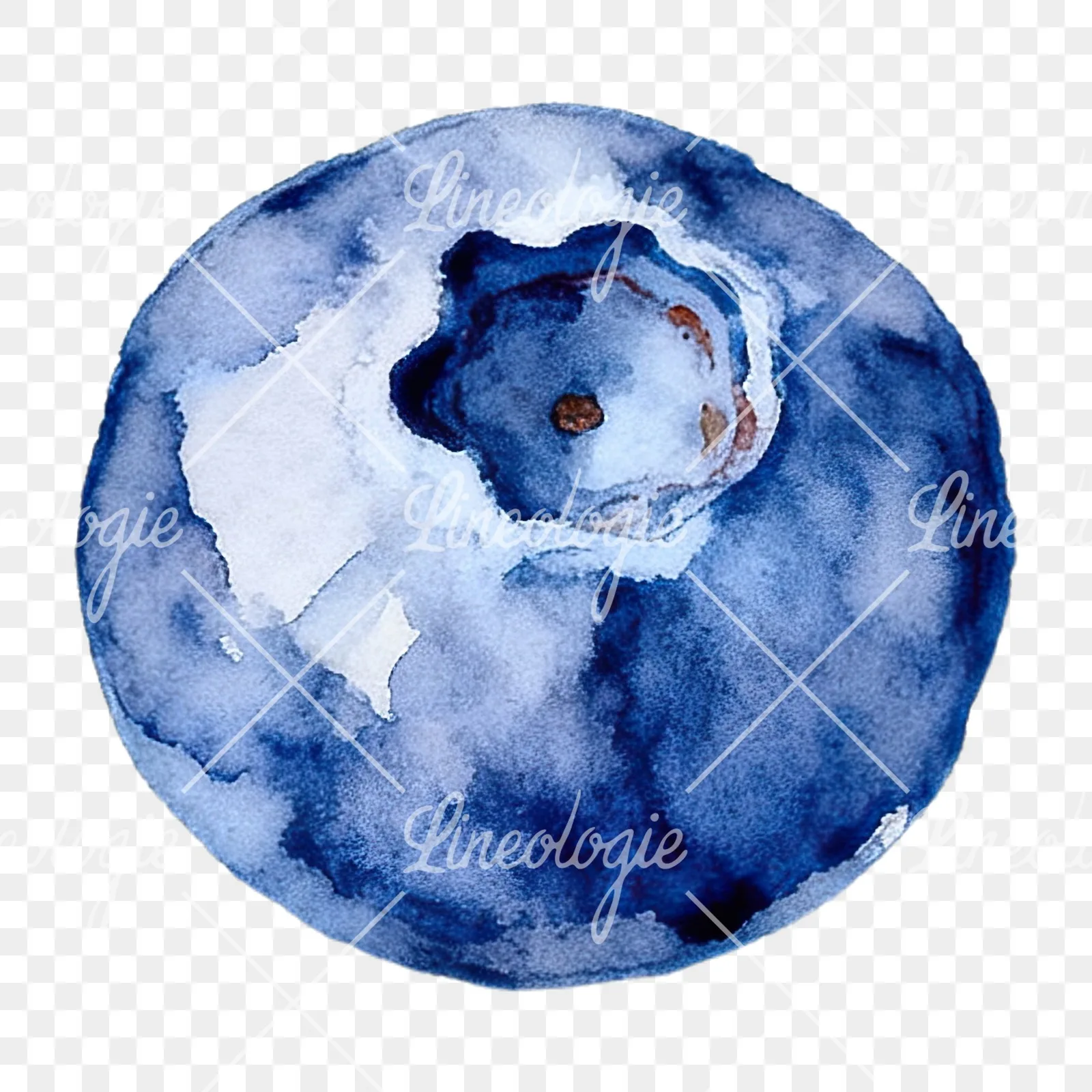 Watercolor blueberry with textures clipart 2 of 12 on a transparent background (PNG)