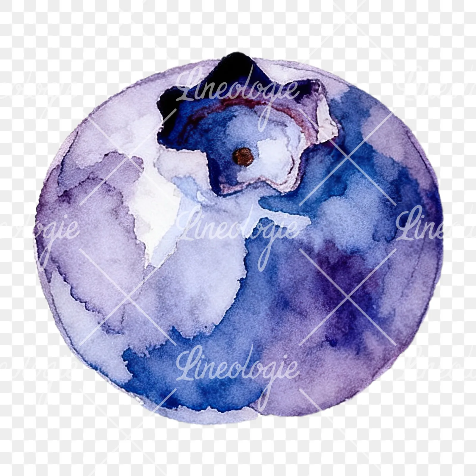 Watercolor blueberry with textures clipart 4 of 12 on a transparent background (PNG)