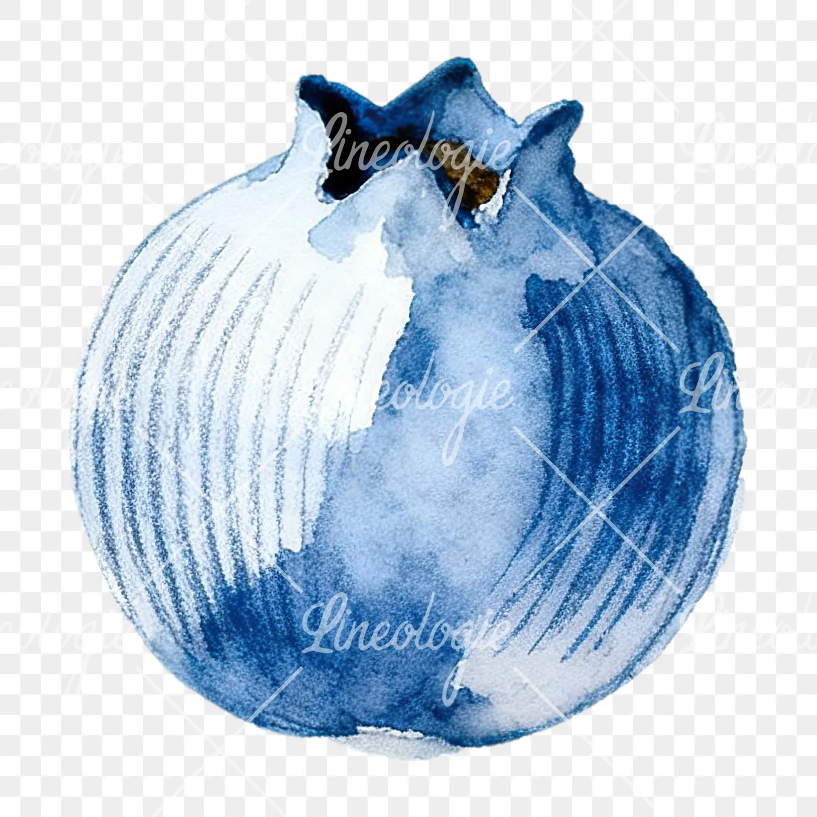 Watercolor blueberry with textures clipart 6 of 12 on a transparent background (PNG)