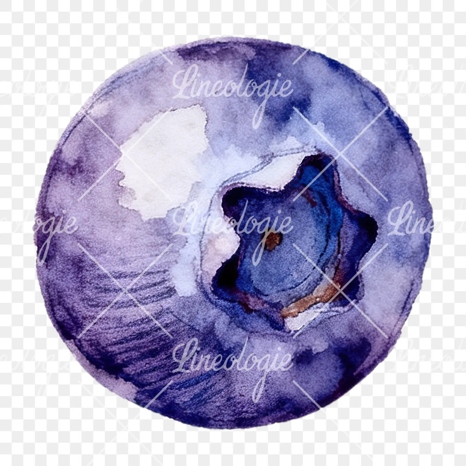 Watercolor blueberry with textures clipart 8 of 12 on a transparent background (PNG)