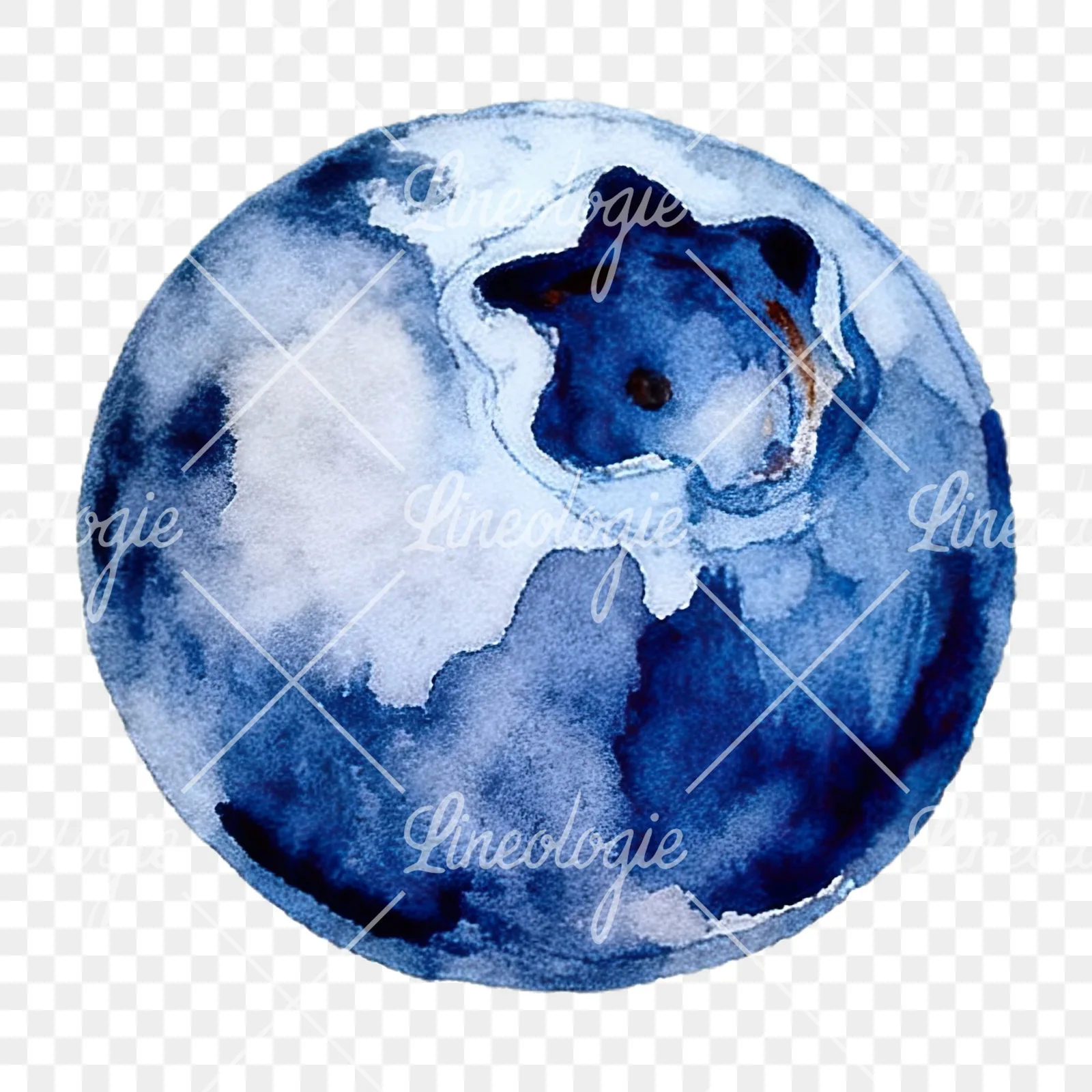 Watercolor blueberry with textures clipart 11 of 12 on a transparent background (PNG)