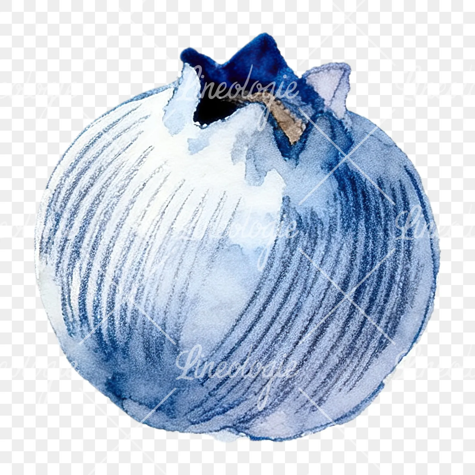 Watercolor blueberry with textures clipart 12 of 12 on a transparent background (PNG)
