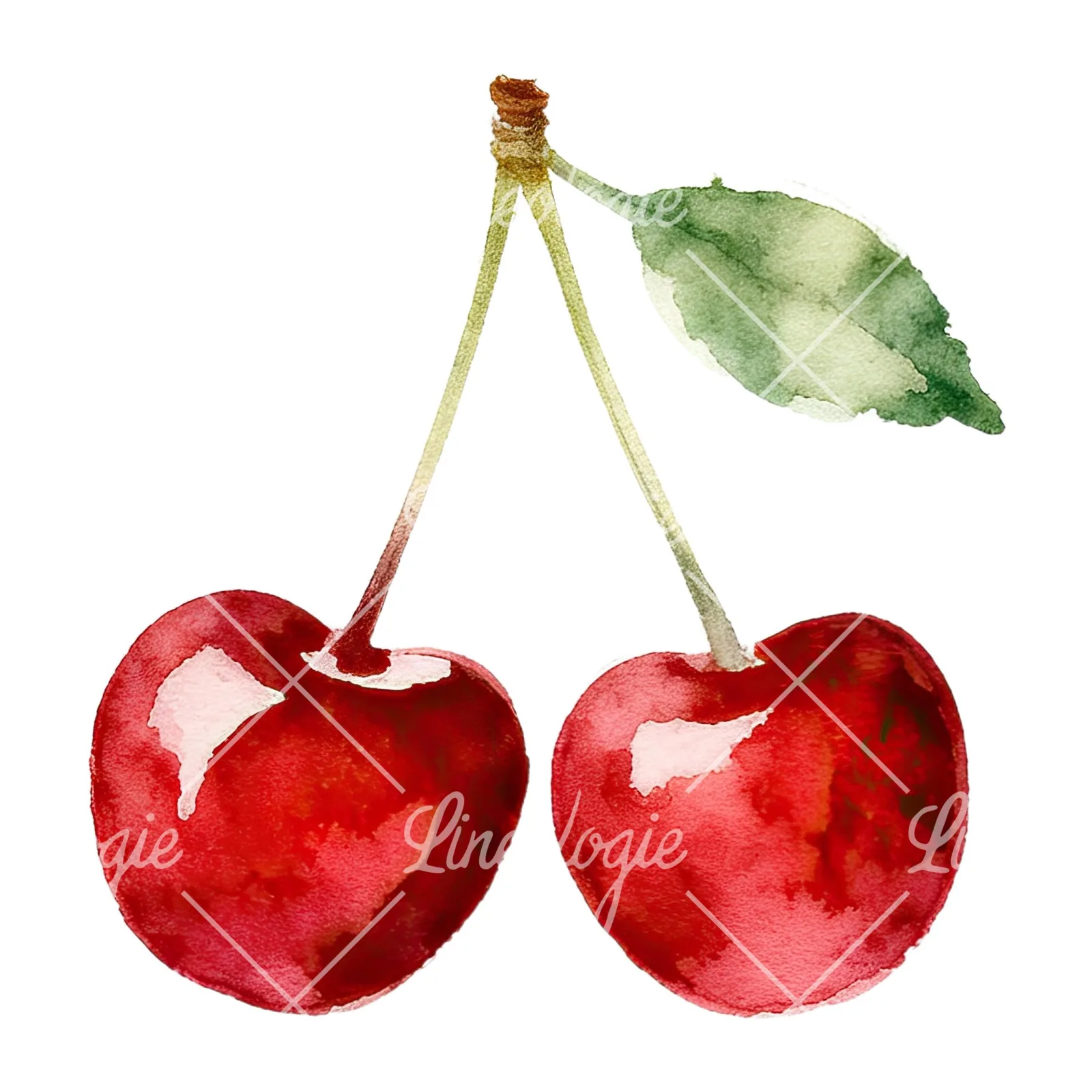 Watercolor cherry pair with leaves clipart 1 of 12 on a white background (JPG)