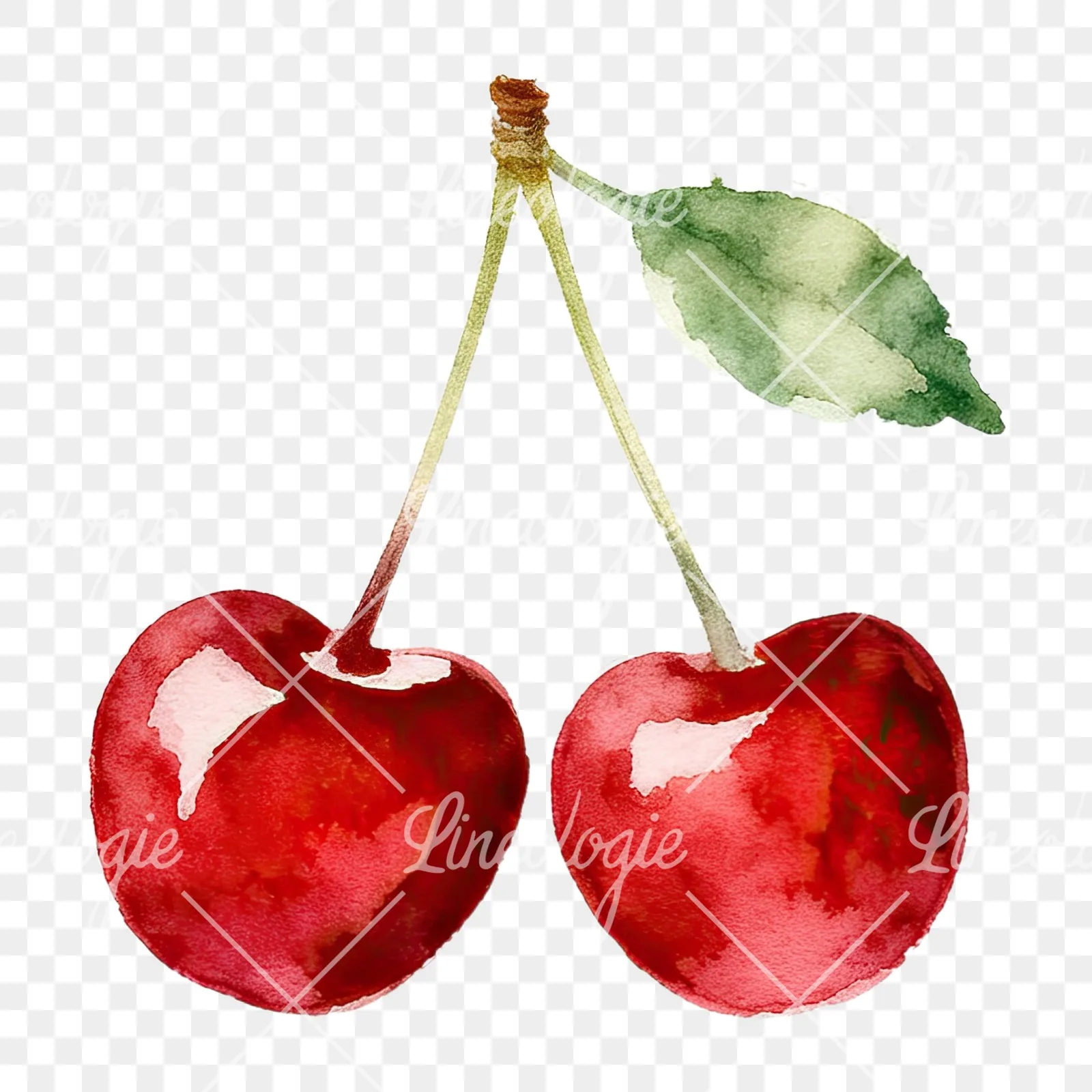Watercolor cherry pair with leaves clipart 1 of 12 on a transparent background (PNG)
