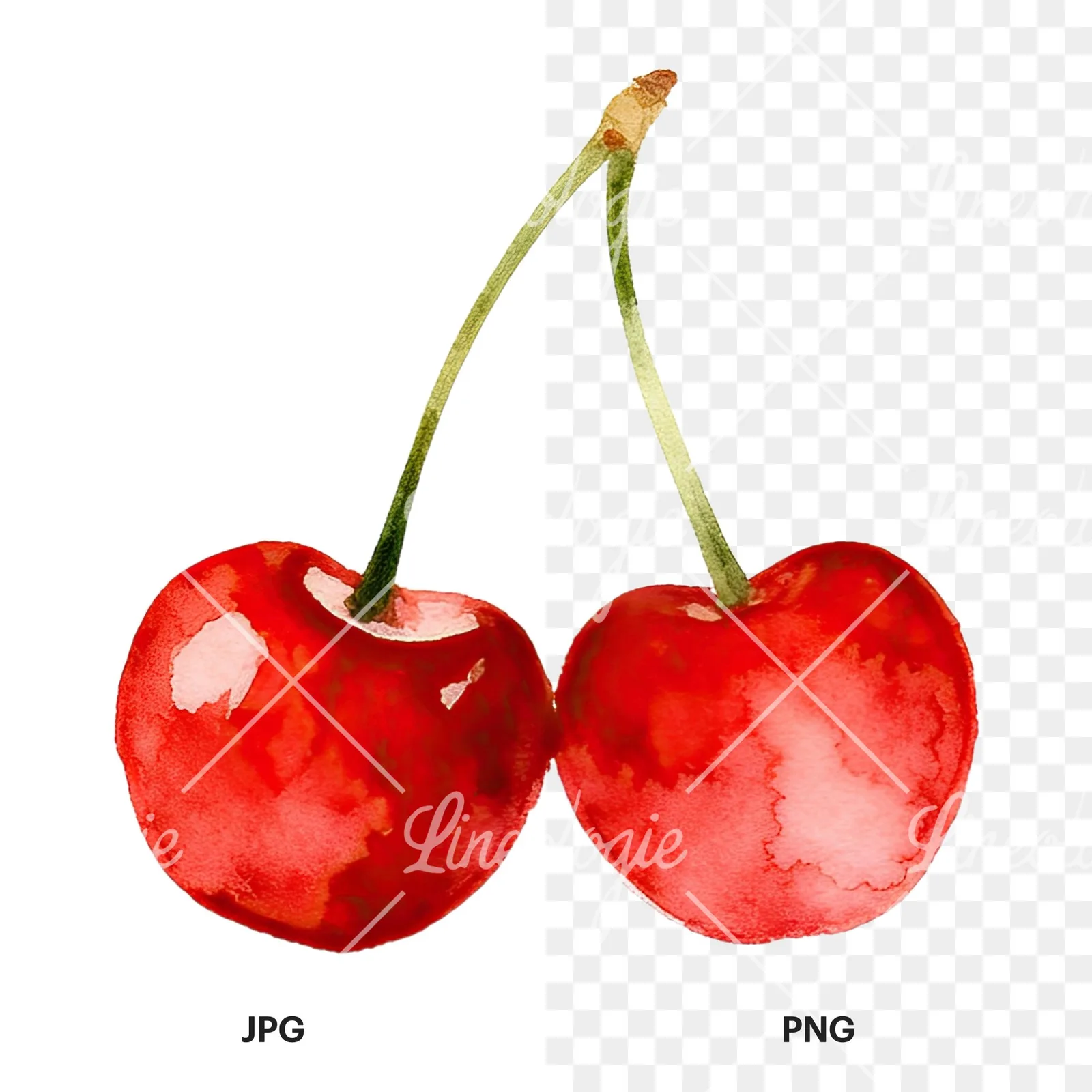 Watercolor cherry pair with leaves clipart 2 of 12, as a JPG on white and a transparent PNG
