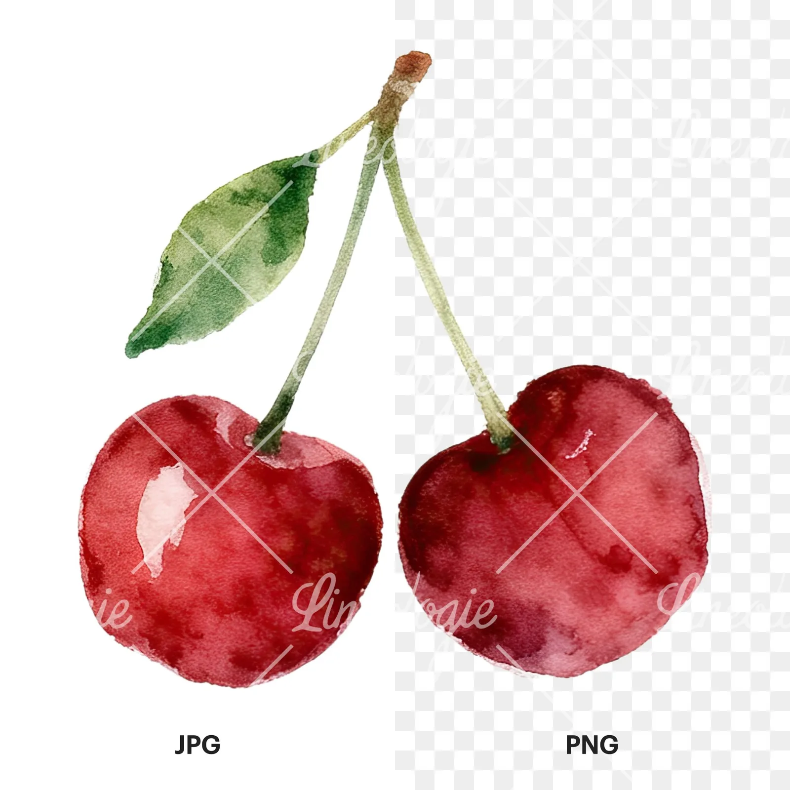 Watercolor cherry pair with leaves clipart 5 of 12, as a JPG on white and a transparent PNG
