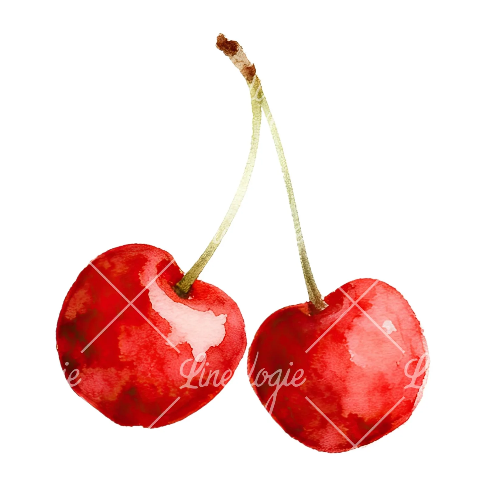 Watercolor cherry pair with leaves clipart 6 of 12 on a white background (JPG)