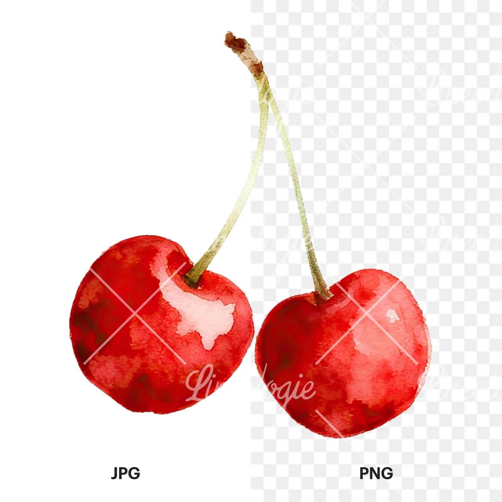 Watercolor cherry pair with leaves clipart 6 of 12, as a JPG on white and a transparent PNG