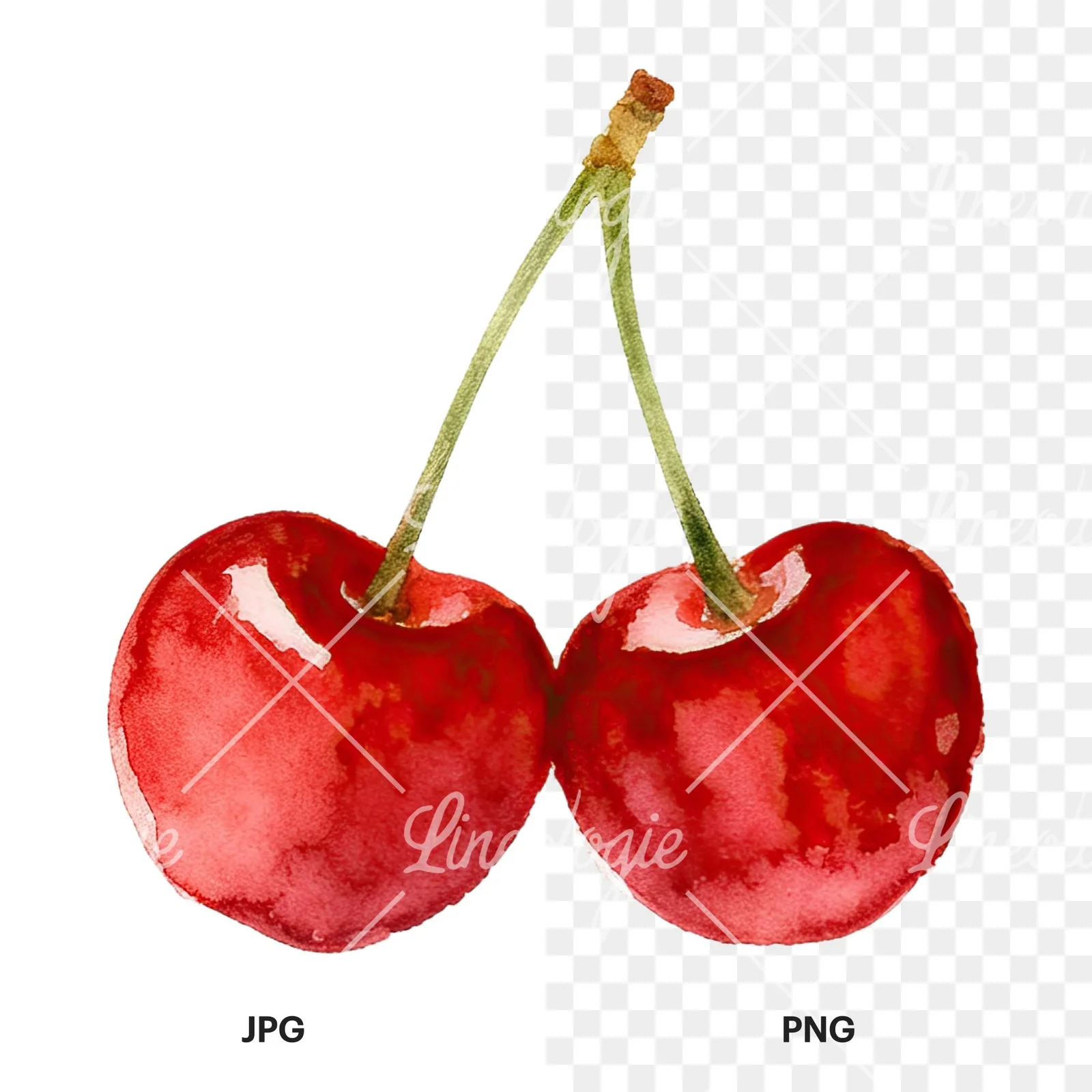 Watercolor cherry pair with leaves clipart 8 of 12, as a JPG on white and a transparent PNG