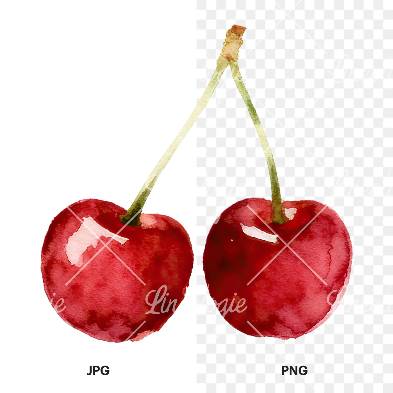 Watercolor cherry pair with leaves clipart 11 of 12, as a JPG on white and a transparent PNG