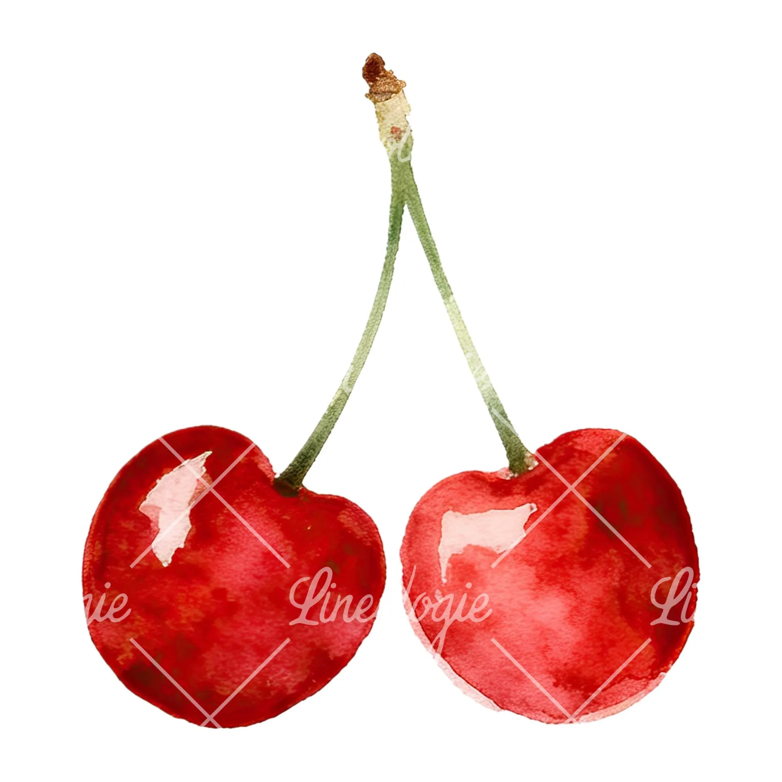 Watercolor cherry pair with leaves clipart 12 of 12 on a white background (JPG)