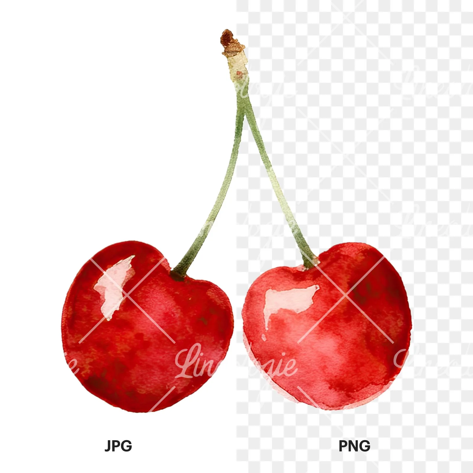 Watercolor cherry pair with leaves clipart 12 of 12, as a JPG on white and a transparent PNG