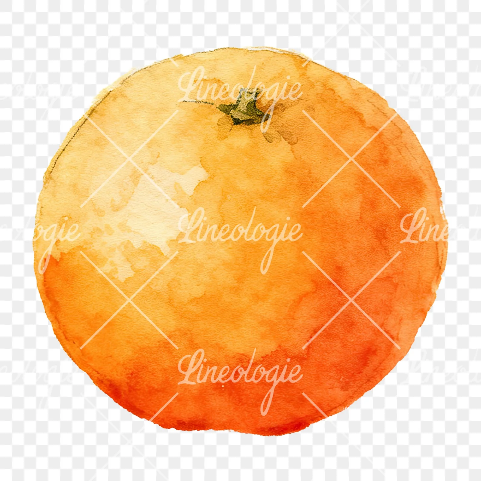 Watercolor orange with peeled segment clipart 1 of 12 on a transparent background (PNG)
