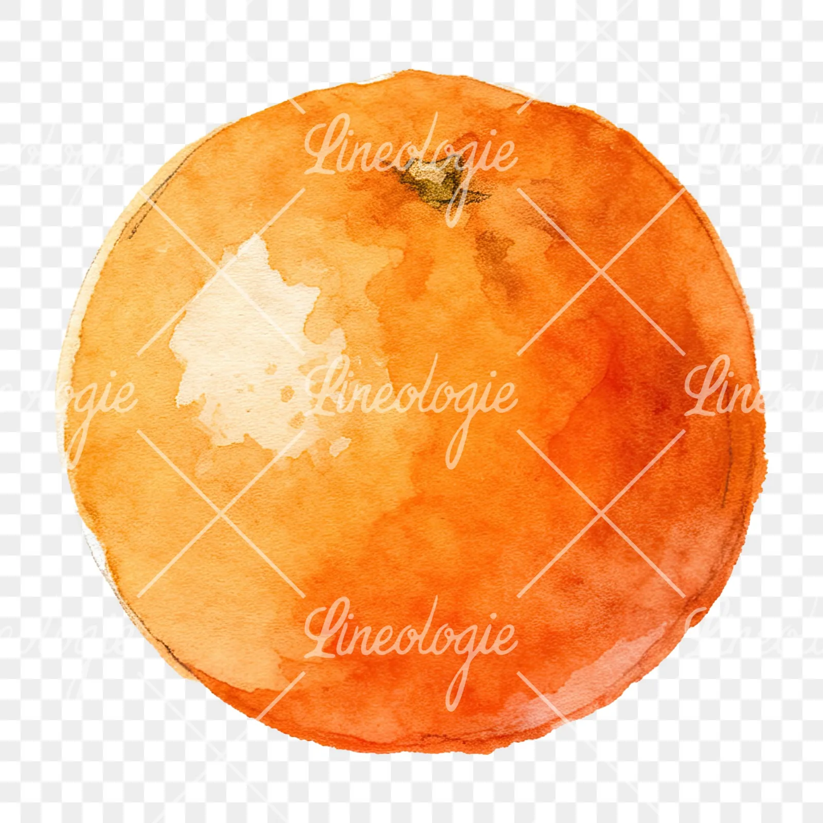 Watercolor orange with peeled segment clipart 2 of 12 on a transparent background (PNG)