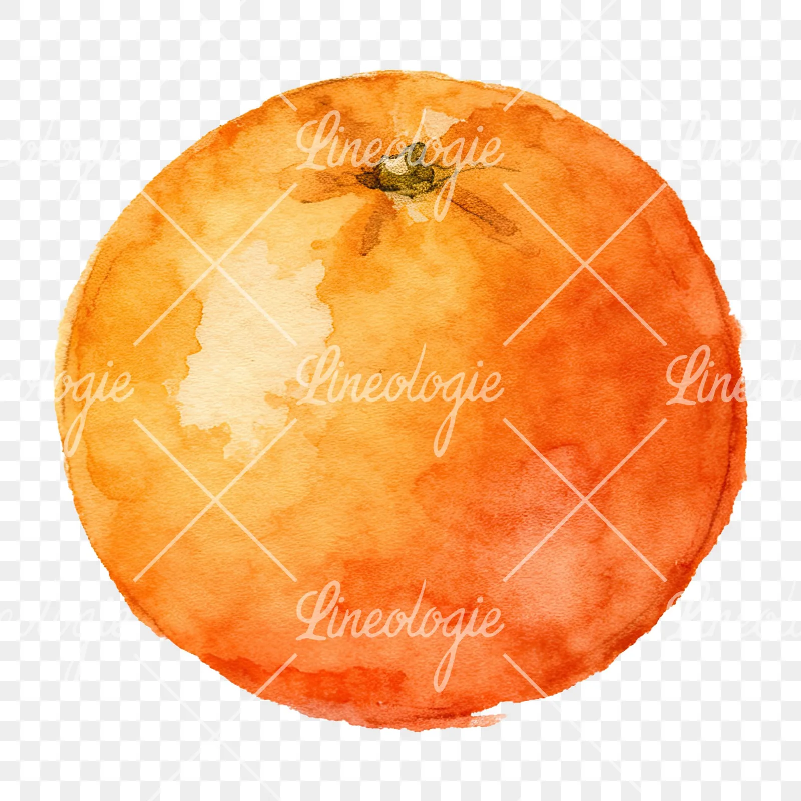 Watercolor orange with peeled segment clipart 3 of 12 on a transparent background (PNG)