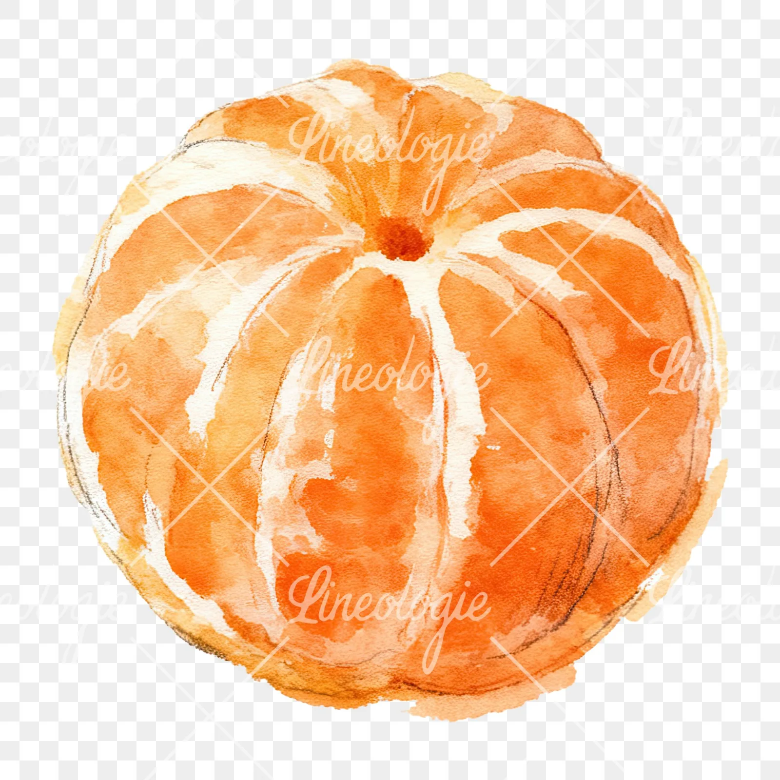 Watercolor orange with peeled segment clipart 6 of 12 on a transparent background (PNG)