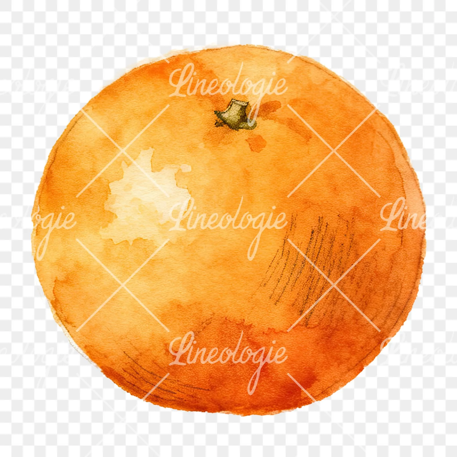 Watercolor orange with peeled segment clipart 7 of 12 on a transparent background (PNG)