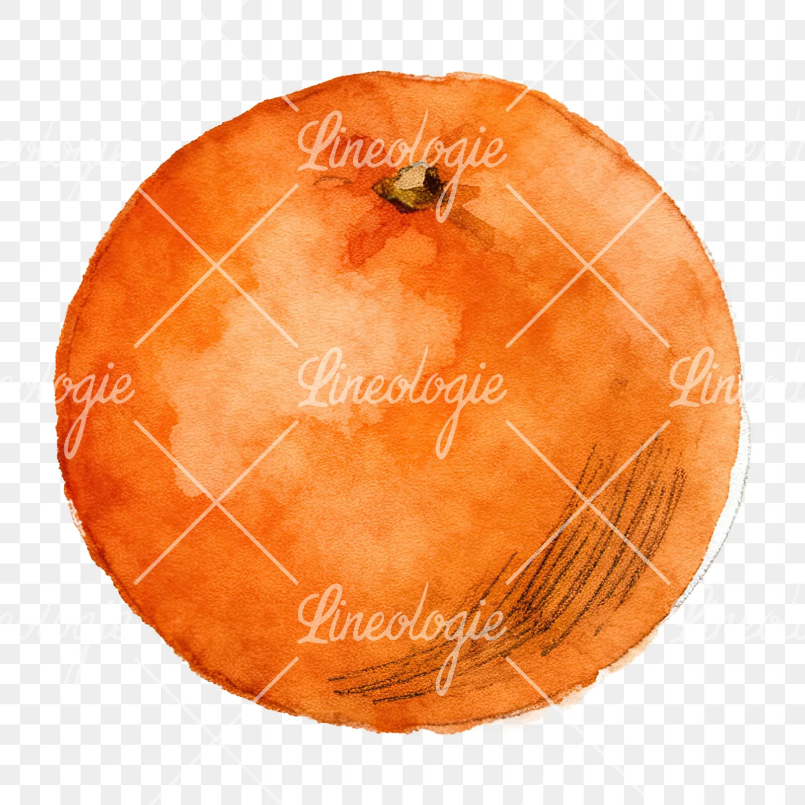 Watercolor orange with peeled segment clipart 9 of 12 on a transparent background (PNG)