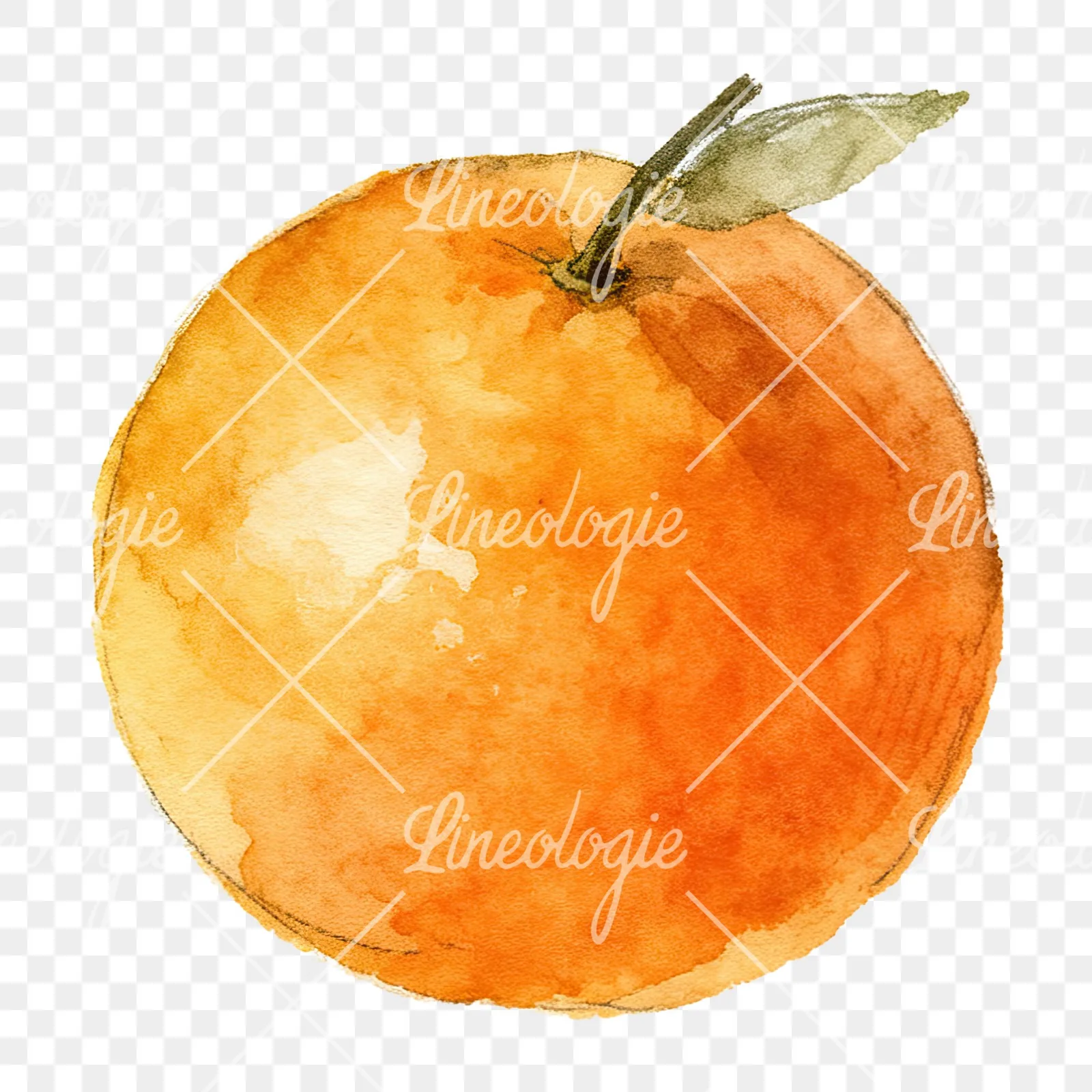 Watercolor orange with peeled segment clipart 10 of 12 on a transparent background (PNG)