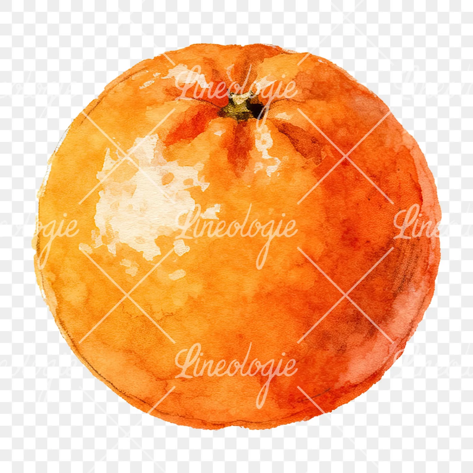 Watercolor orange with peeled segment clipart 11 of 12 on a transparent background (PNG)