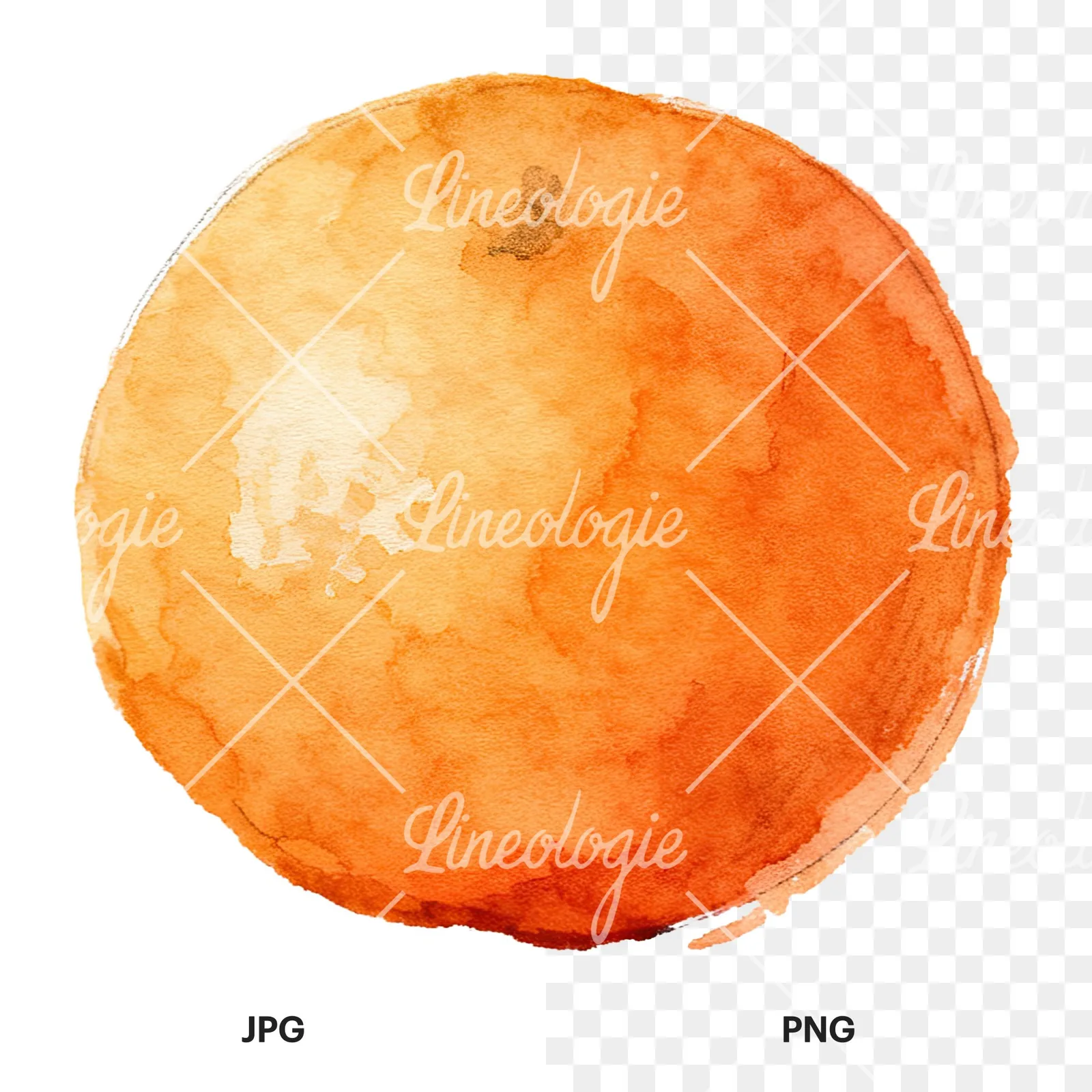 Watercolor orange with peeled segment clipart 12 of 12, as a JPG on white and a transparent PNG