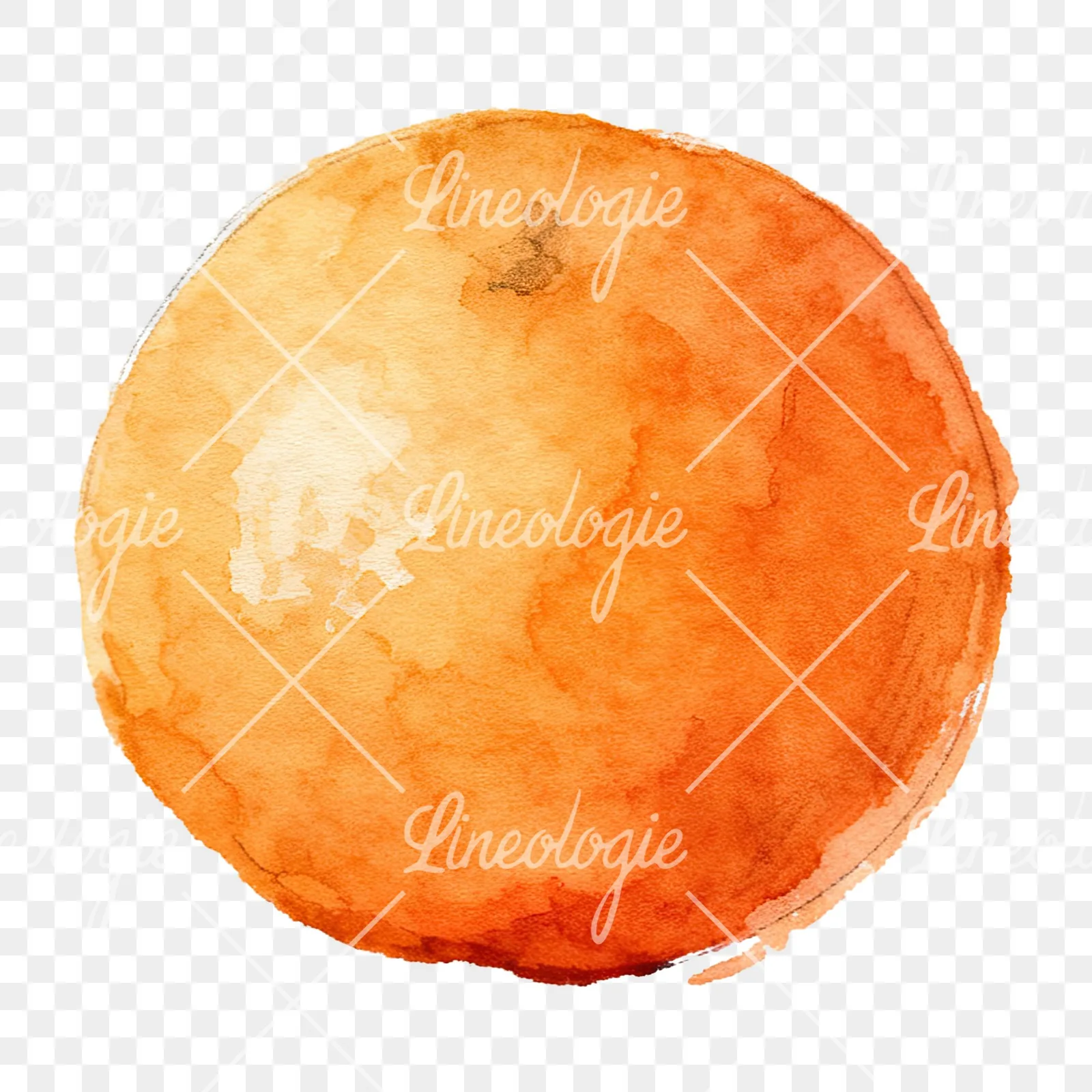 Watercolor orange with peeled segment clipart 12 of 12 on a transparent background (PNG)