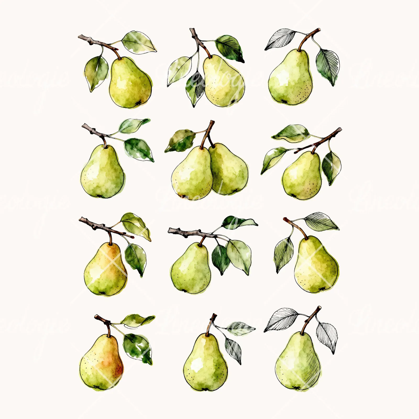 Watercolor Speckled Pear Branch Clipart, all 12 illustrations in the pack