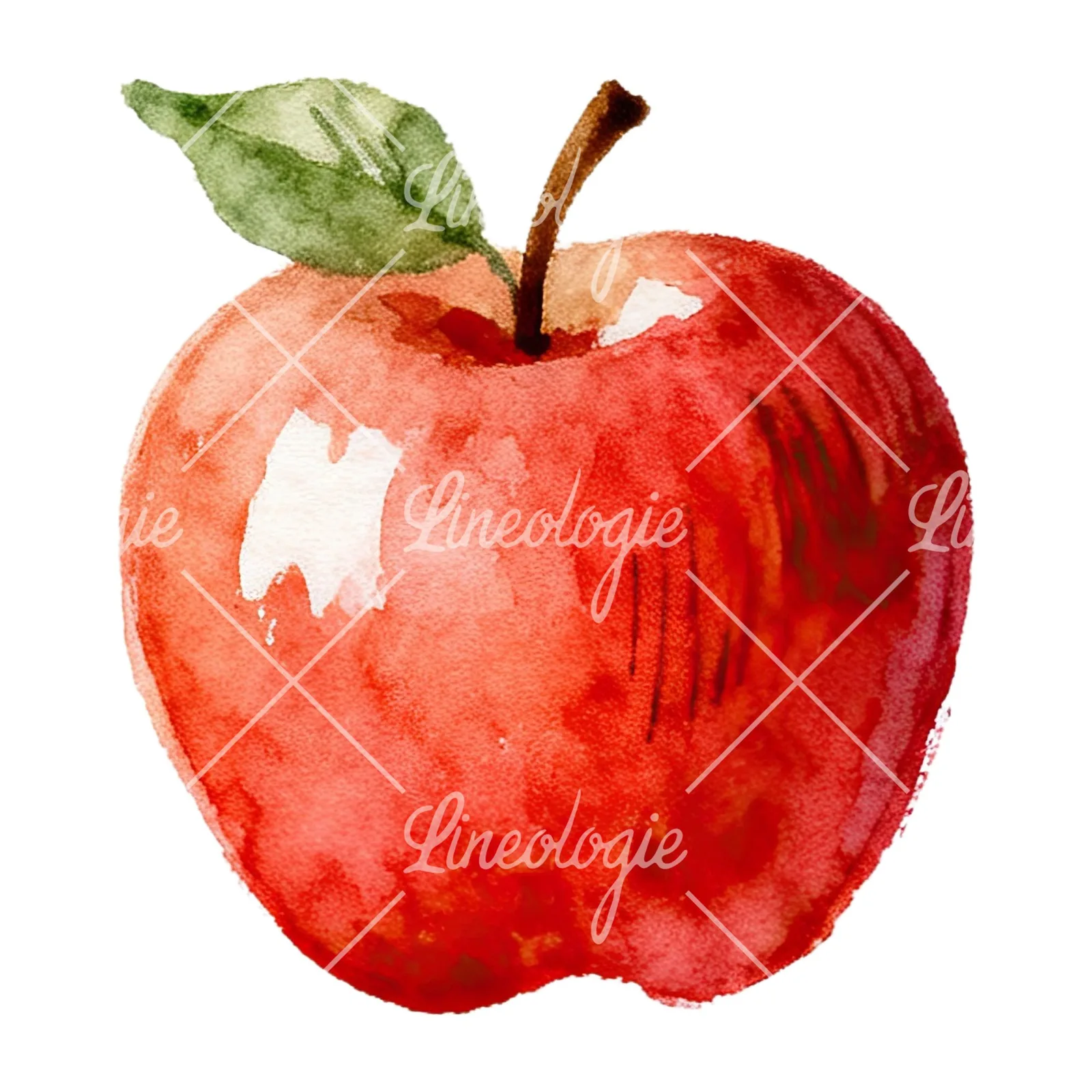 Watercolor red and green apple clipart 8 of 12 on a white background (JPG)