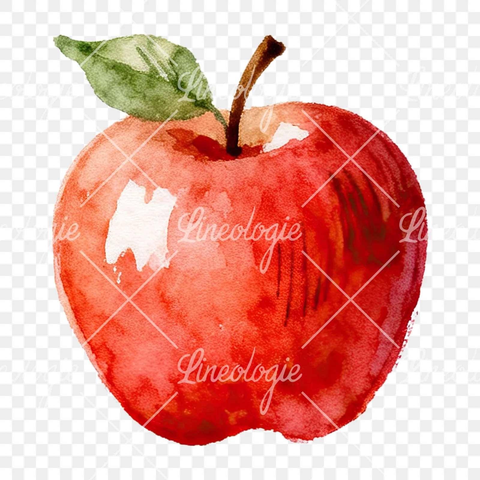 Watercolor red and green apple clipart 8 of 12 on a transparent background (PNG)
