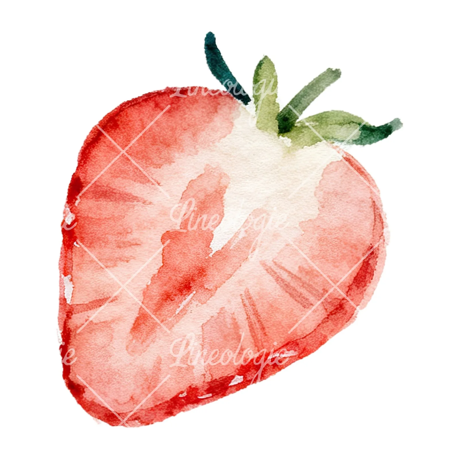 Watercolor sliced and whole strawberry clipart 3 of 12 on a white background (JPG)