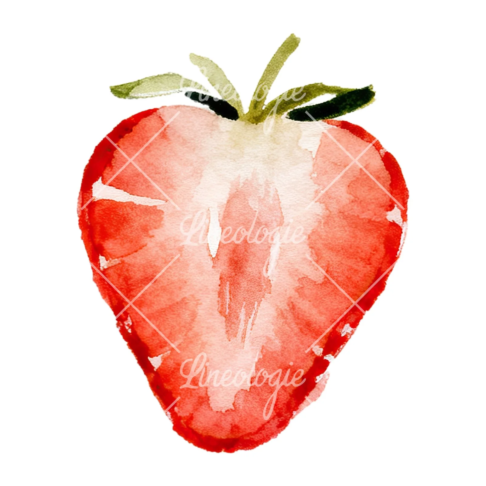 Watercolor sliced and whole strawberry clipart 5 of 12 on a white background (JPG)