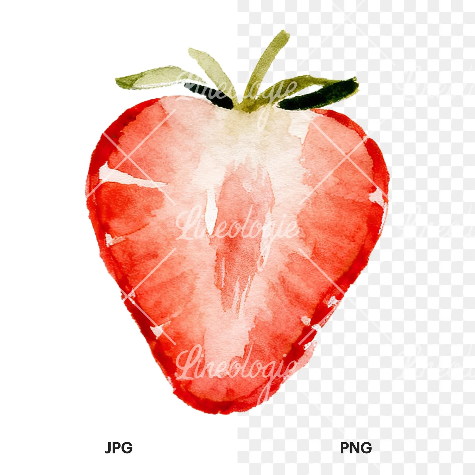 Watercolor sliced and whole strawberry clipart 5 of 12, as a JPG on white and a transparent PNG