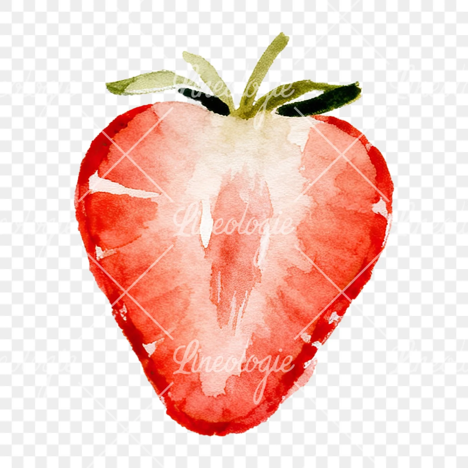 Watercolor sliced and whole strawberry clipart 5 of 12 on a transparent background (PNG)