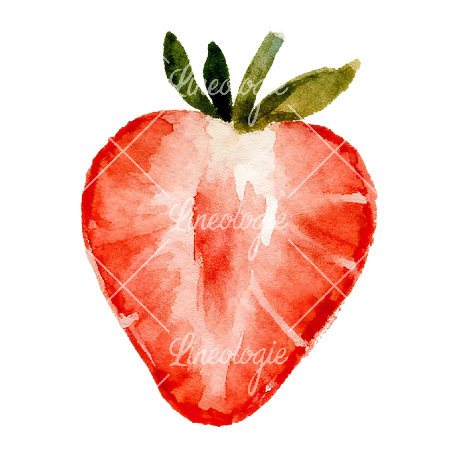 Watercolor sliced and whole strawberry clipart 8 of 12 on a white background (JPG)