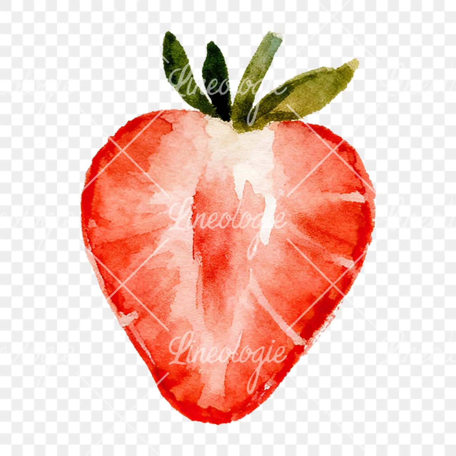 Watercolor sliced and whole strawberry clipart 8 of 12 on a transparent background (PNG)
