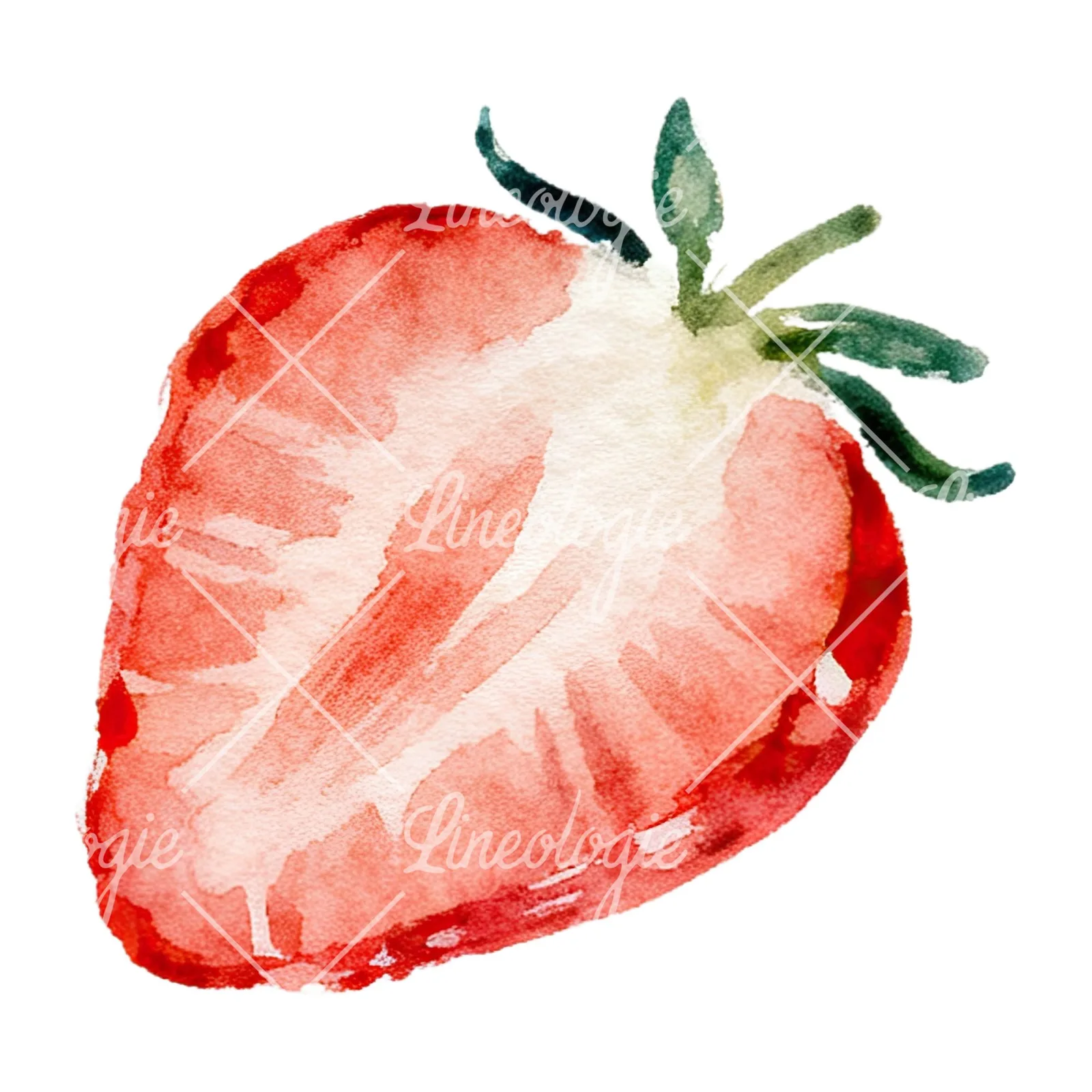 Watercolor sliced and whole strawberry clipart 12 of 12 on a white background (JPG)