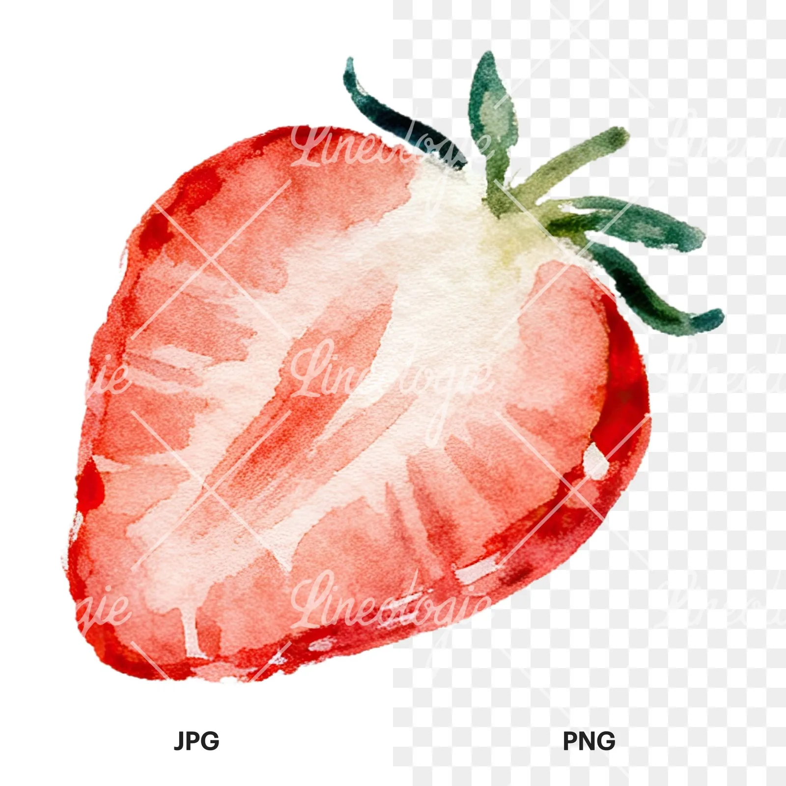 Watercolor sliced and whole strawberry clipart 12 of 12, as a JPG on white and a transparent PNG