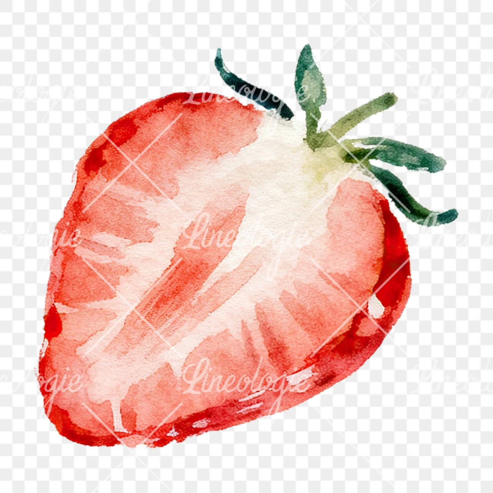 Watercolor sliced and whole strawberry clipart 12 of 12 on a transparent background (PNG)