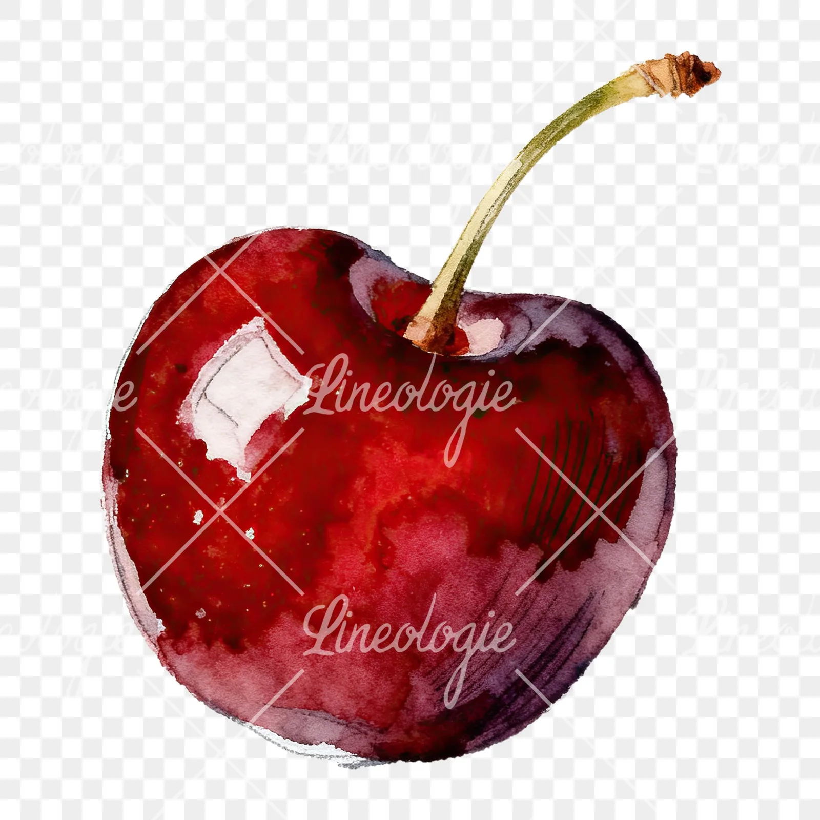 Watercolor single and paired cherry clipart 1 of 6 on a transparent background (PNG)