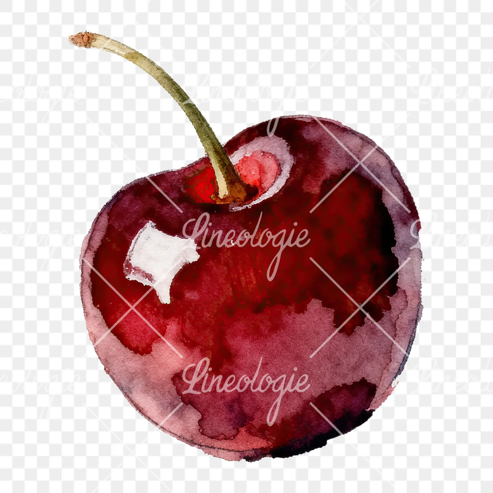 Watercolor single and paired cherry clipart 3 of 6 on a transparent background (PNG)