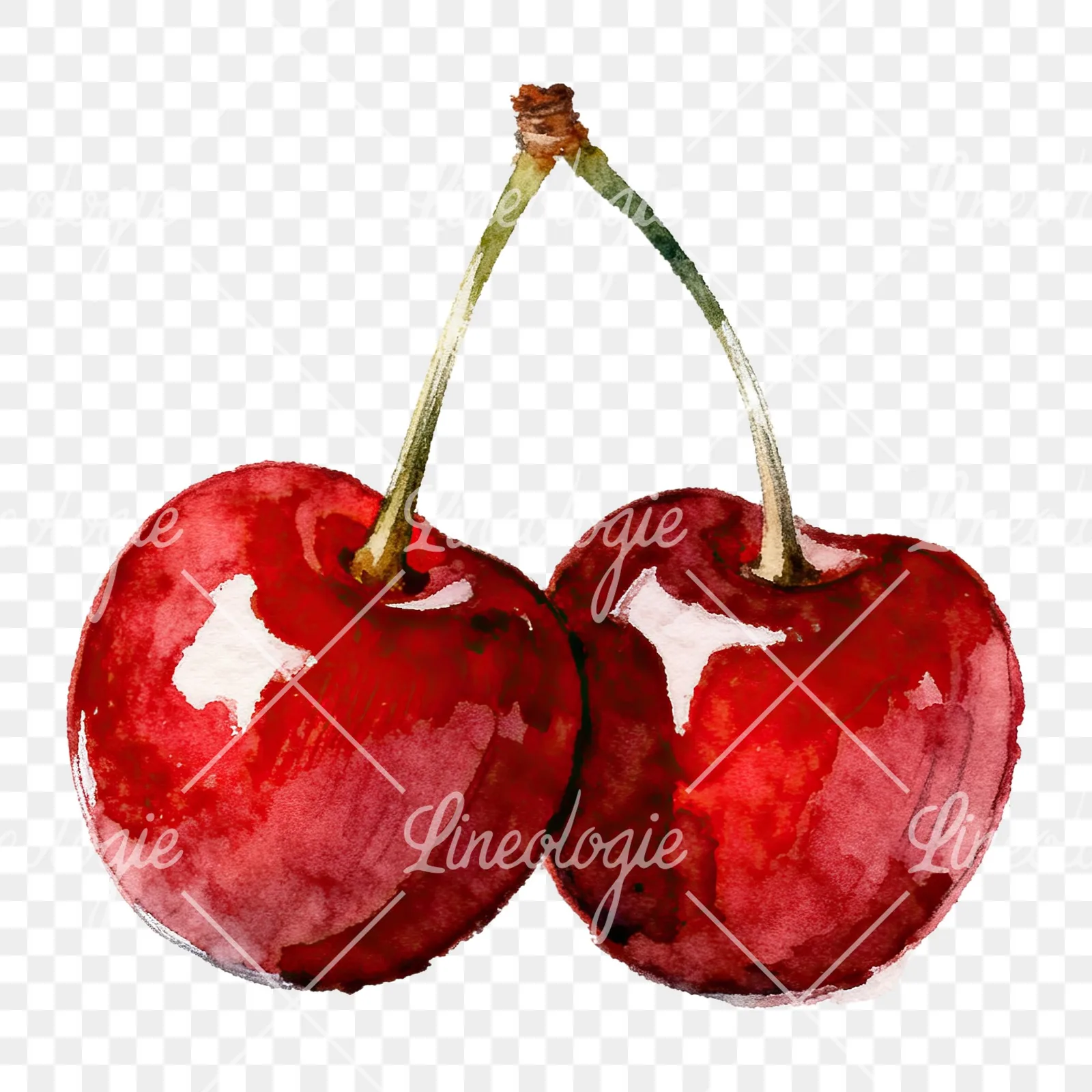 Watercolor single and paired cherry clipart 4 of 6 on a transparent background (PNG)