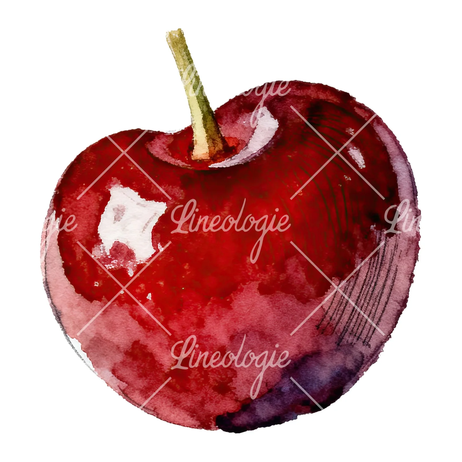 Watercolor single and paired cherry clipart 6 of 6 on a white background (JPG)