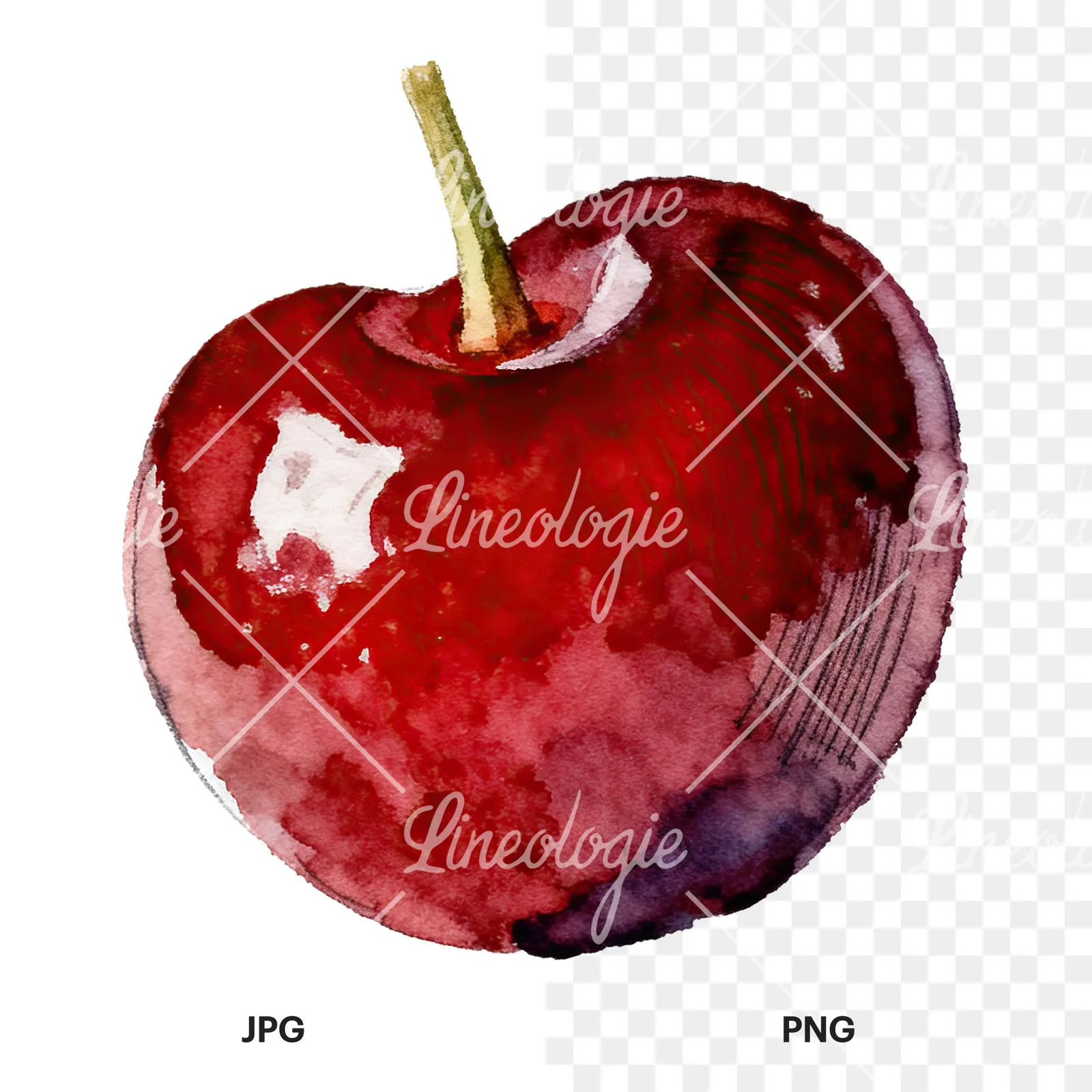 Watercolor single and paired cherry clipart 6 of 6, as a JPG on white and a transparent PNG
